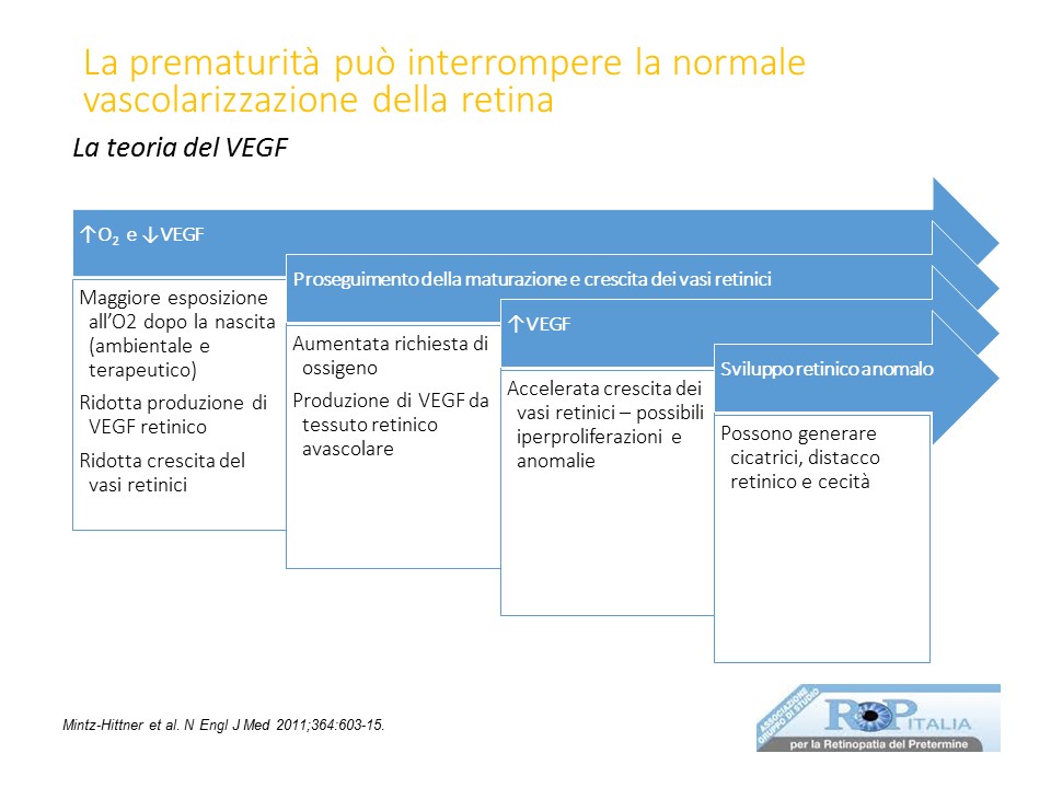 Retinopatia del prematuro (ROP) - Malattia vascolare della retina nei neonati pretermine
