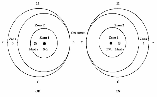 classificazione-rop_2